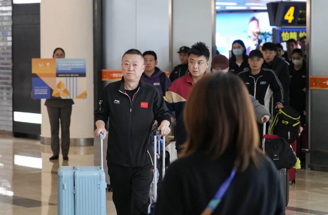 发现半岛体育-王楚钦、孙颖莎即将复出！